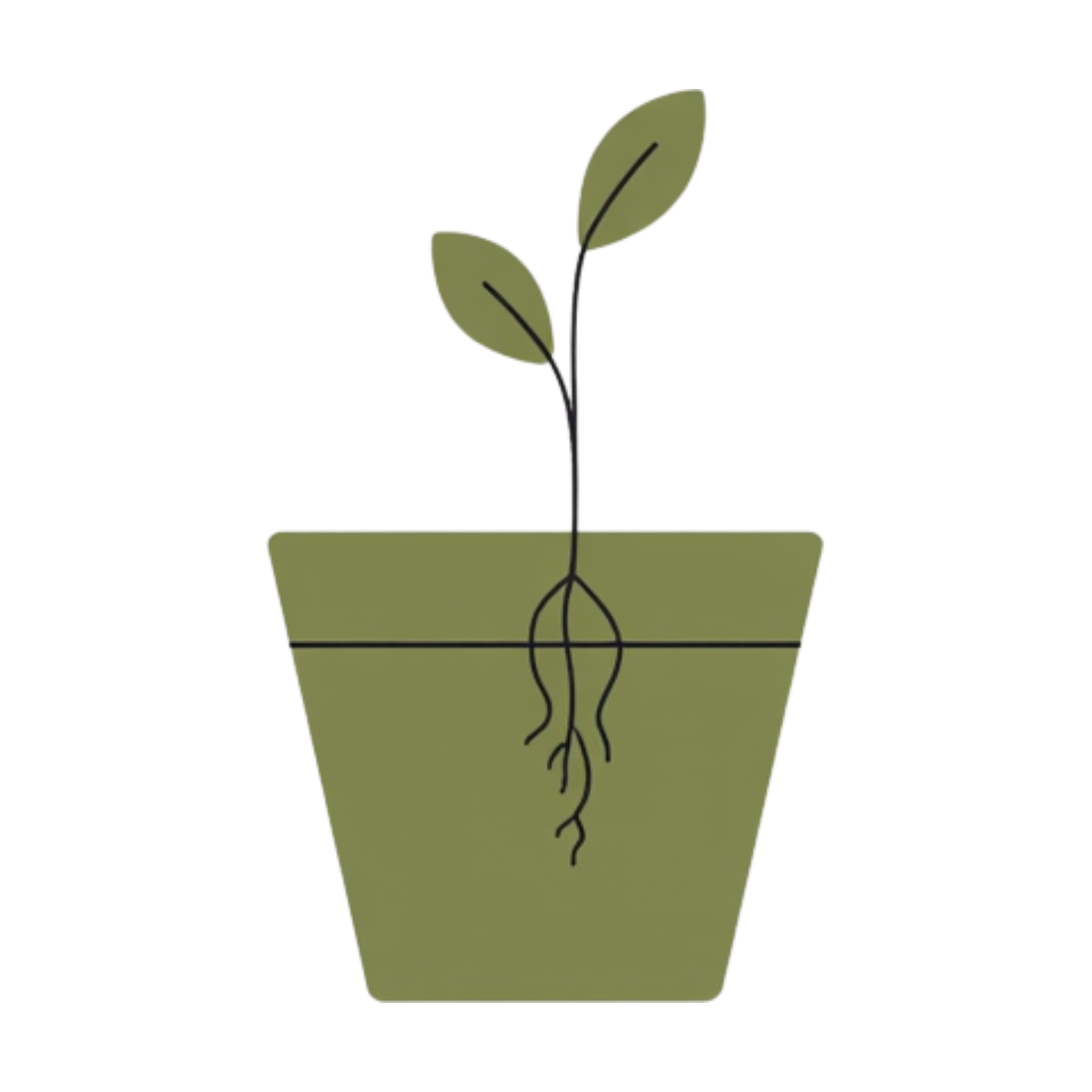 A plant with roots exposed, held in hand